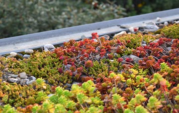 the cost of Farnham green roof installation