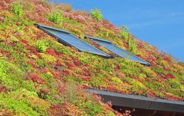 Farnham living roof systems